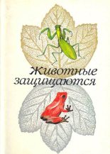 Книга - З. В. Воронцова - Животные защищаются (fb2) читать без регистрации