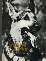 Книга - К. Б. Глиер - Твой друг (Сборник по собаководству, 1973 г.) (fb2) читать без регистрации