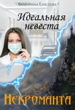 Книга - Валентина Ильинична Елисеева - Идеальная невеста некроманта (fb2) читать без регистрации