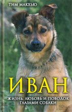 Книга - Тим  Макхью - Иван. Жизнь, любовь и поводок глазами собаки (fb2) читать без регистрации