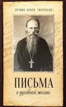 Книга - игумен Никон  Воробьев - Письма о духовной жизни (fb2) читать без регистрации