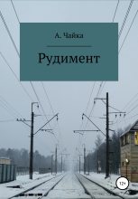 Книга - Алина Андреевна Чайка - Рудимент (fb2) читать без регистрации