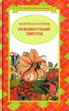 Книга - Андрей  Платонов - Разноцветная бабочка (легенда) (fb2) читать без регистрации