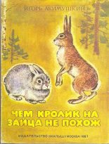 Книга - Игорь Иванович Акимушкин - Чем кролик на зайца не похож (fb2) читать без регистрации