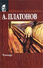 Книга - Андрей  Платонов - Чевенгур (fb2) читать без регистрации