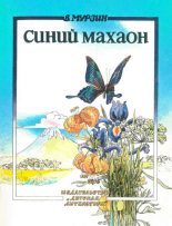 Книга - Владимир Сергеевич Мурзин - Синий махаон (fb2) читать без регистрации