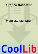Книга - Андрей  Воронин - Над законом (fb2) читать без регистрации