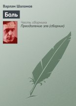 Книга - Варлам Тихонович Шаламов - Боль (fb2) читать без регистрации