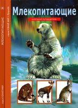 Книга - Марк Давидович Махлин - Млекопитающие (fb2) читать без регистрации