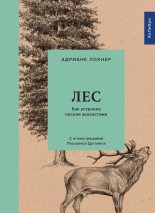 Книга - Адриане  Лохнер - Лес. Как устроена лесная экосистема (fb2) читать без регистрации