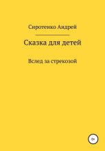 Книга - Андрей  Сиротенко - Вслед за стрекозой (fb2) читать без регистрации