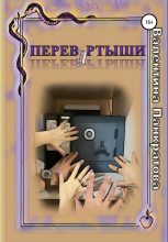 Книга - Валентина  Панкратова - Перевёртыши (fb2) читать без регистрации