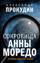 Книга - Александр  Прокудин - Сокровища Анны Моредо (fb2) читать без регистрации