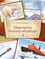 Книга - Олег Семенович Бундур - Навстречу белому медведю (fb2) читать без регистрации