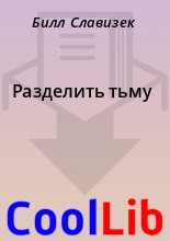 Книга - Билл  Славизек - Разделить тьму (fb2) читать без регистрации