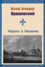Книга - Юзеф Игнаций Крашевский - Король в Несвиже (сборник) (fb2) читать без регистрации