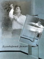 Книга - Вячеслав  Ладогин - Бульварный роман. Исповедь алкоголика (fb2) читать без регистрации