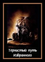 Книга - Денис Валерьевич Куприянов - Тернистый путь «Избранного» (fb2) читать без регистрации
