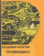 Книга - Владимир Павлович Кочетов - Провинциал (fb2) читать без регистрации