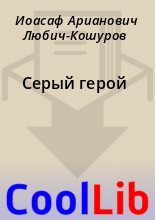 Книга - Иоасаф Арианович Любич-Кошуров - Серый герой (fb2) читать без регистрации