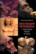 Книга - Александр (2) Владимирович Марков (биолог) - Эволюция человека. Книга 1. Обезьяны, кости и гены (fb2) читать без регистрации