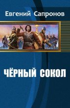 Книга - Евгений  Сапронов - Чёрный сокол (fb2) читать без регистрации