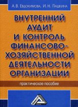 Книга - И. Н. Пашкина - Внутренний аудит и контроль финансово-хозяйственной деятельности организации (fb2) читать без регистрации