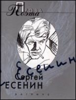 Книга - Сергей Александрович Есенин - Яр (fb2) читать без регистрации