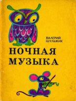 Книга - Валерий Владимирович Шульжик - Ночная музыка (fb2) читать без регистрации