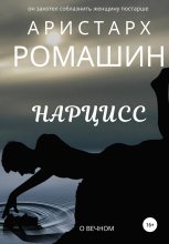 Книга - Аристарх  Ромашин - Нарцисс (fb2) читать без регистрации