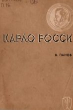 Книга - Владимир Анатольевич Панов - Карло Росси (fb2) читать без регистрации