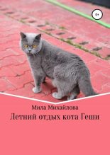 Книга - Мила  Михайлова - Летний отдых кота Геши (fb2) читать без регистрации
