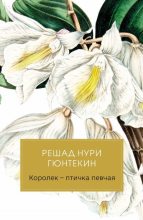 Книга - Решад Нури Гюнтекин - Королек – птичка певчая (fb2) читать без регистрации