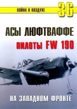 Книга - С. В. Иванов - Асы люфтваффе пилоты Fw 190 на Западном фронте (fb2) читать без регистрации