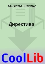 Книга - Михаил  Зислис - Диpектива (fb2) читать без регистрации