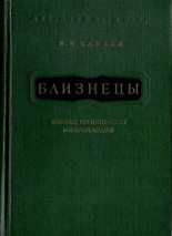 Книга - Иван Иванович Канаев - Близнецы (fb2) читать без регистрации