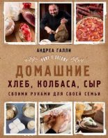 Книга - Андреа  Галли - Домашние хлеб, колбаса, сыр своими руками для своей семьи (pdf) читать без регистрации