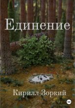 Книга - Кирилл  Зоркий - Единение (fb2) читать без регистрации