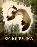 Книга - Виктор Петрович Астафьев - Белогрудка (pdf) читать без регистрации