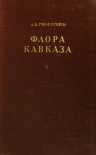 Книга - Александр Альфонсович Гроссгейм - Флора Кавказа. Том 5 (djvu) читать без регистрации