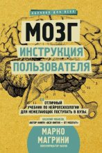 Книга - Марко Магрини - Мозг. Инструкция пользователя  (pdf) читать без регистрации
