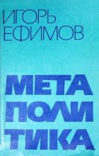 Книга - Игорь Маркович Ефимов - Метаполитика (fb2) читать без регистрации