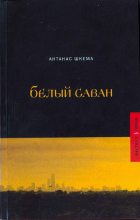 Книга - Антанас  Шкема - Солнечные дни (fb2) читать без регистрации
