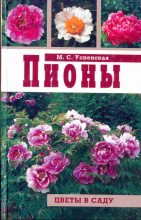 Книга - Марианна Сергеевна Успенская - Пионы (fb2) читать без регистрации