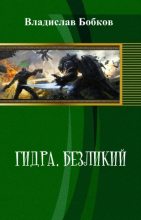Книга - Владислав Андреевич Бобков - Безликий (fb2) читать без регистрации