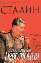Книга - Дмитрий Николаевич Верхотуров - Сталин. Экономическая революция (fb2) читать без регистрации
