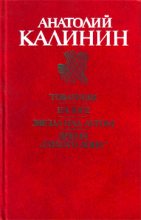 Книга - Анатолий Вениаминович Калинин - Товарищи (fb2) читать без регистрации