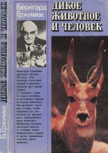 Книга - Бернгард  Гржимек - Дикое животное и человек (fb2) читать без регистрации
