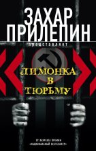 Книга - Захар  Прилепин - Лимонка в тюрьму (сборник) (fb2) читать без регистрации