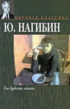 Книга - Юрий Маркович Нагибин - Московское зазеркалье (fb2) читать без регистрации